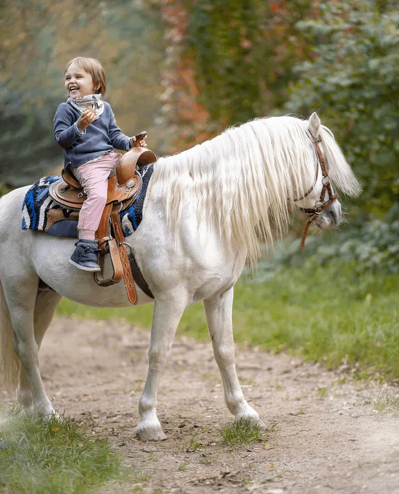 Tierfotografie