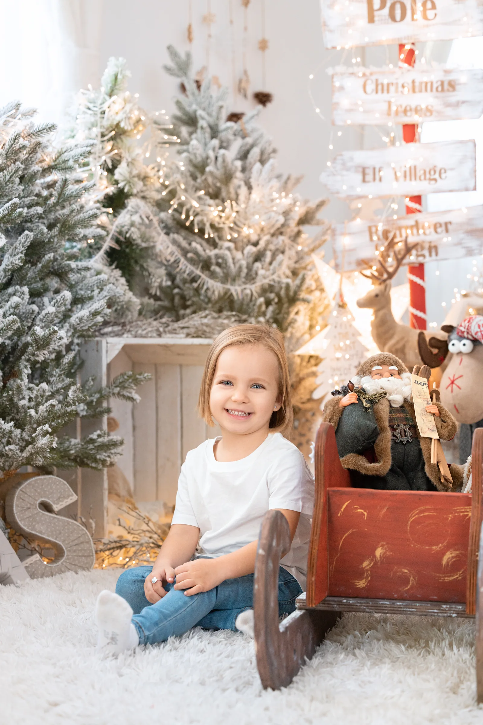 Weihnachtsfotoshooting in Wien